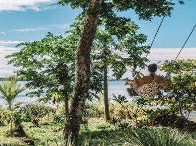 A person swinging under a tree by the water, a reminder to dream before you plan