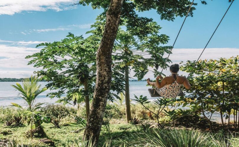 A person swinging under a tree by the water, a reminder to dream before you plan
